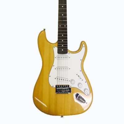 Glen Burton GE39-ST101-NT Basswood Body S-Type Maple Neck 6-String Electric Guitar w/Gig Bag & Pick for sale