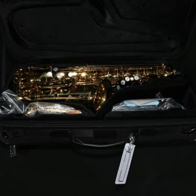 Eastman EAS650 Professional Alto Saxophone - Brass image 1