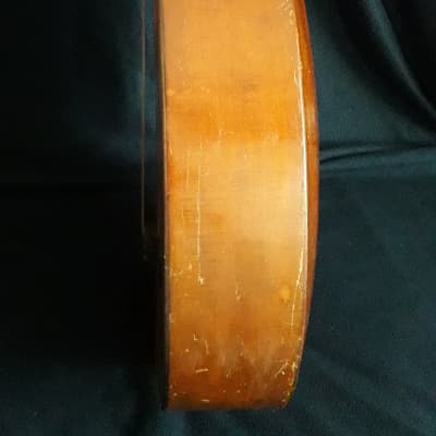 German Lute-guitar (1930) image 7