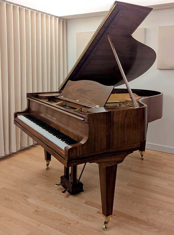 Unique Hamburg Steinway & Sons O Grand Piano Fully Restored from 1906 image 1