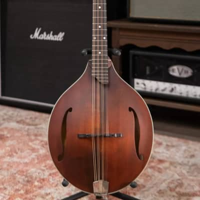 Eastman MDO305 Octave Mandolin A-Style with Soft Case image 2