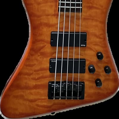 SPECTOR Rex 5 bass guitars