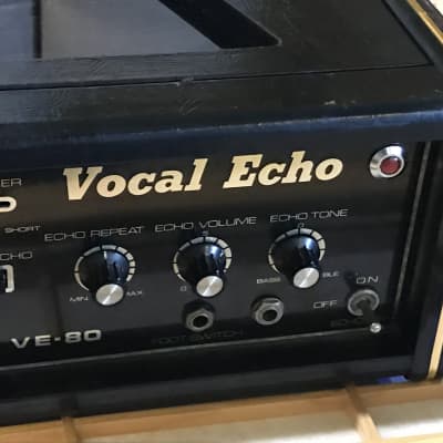 Evans Vocal echo VE-80 1970's, a la Roland Space Echo RE-2 type, Hainbach REAL Magnetic Tape Delay image 3