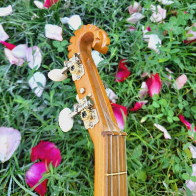 Georgian folk music instrument Panduri | String instrument Panduri | ფანდური | Fanduri image 18