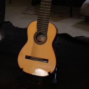 Darren Hippner 11 string Concert Classical 2011 image 2