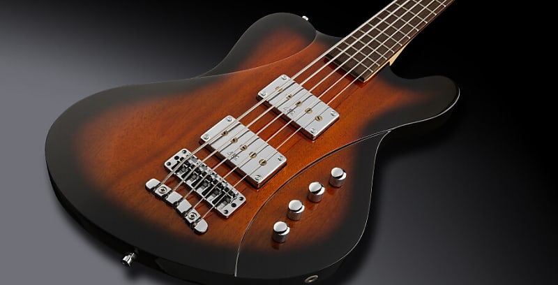 【ずく】warwick Warwick Gnome Pocket Bass Amplifier | zZounds