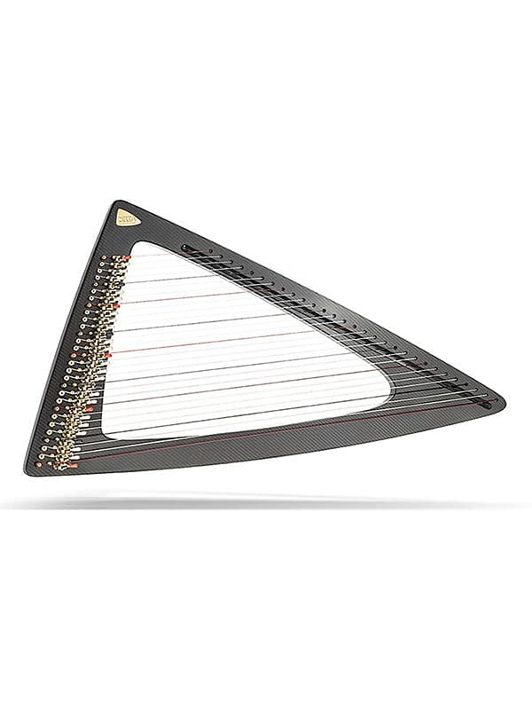 Salvi Delta C Carbon Fiber Electric Harp Reverb
