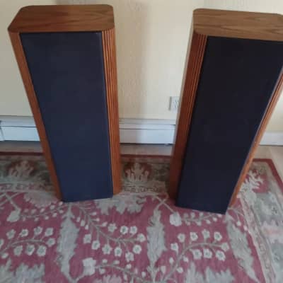 Infinity RS4B - oak | Reverb