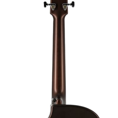 Rainsong APSE Al Petteway Special Edition Acoustic Guitar, 19170 image 6