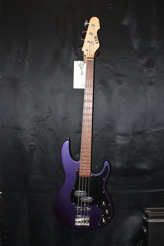 ESP LTD AP-204 DARK METALLIC PURPLE | Reverb