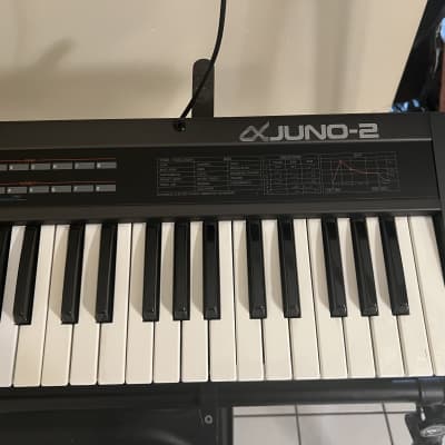 Roland Alpha Juno-2 Synth With BCR2000 Programmer!!! image 4