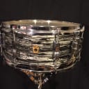 WFL Black Oyster Jazz Festival Snare drum