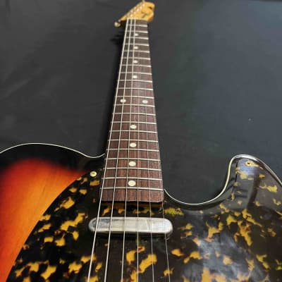 Bill Lawrence Trigger-Ⅱ BT2M | Reverb