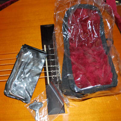2012 New World Bubinga Model Classical Guitar Truss Rod New Strings Deluxe Original Hard Case image 13