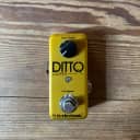 TC Electronic Ditto Looper Gold Limited Edition