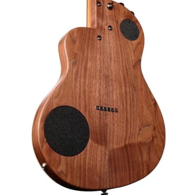 Rick Turner Classic Series Renaissance RS6 Cedar / Master Grade Walnut #5939 image 4