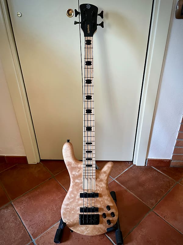 Spector ReBop 4 DLX PJ Black Stain Gloss | USA