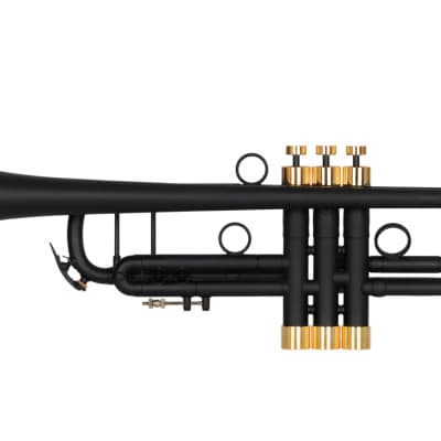 Bach Stradivarius 37 trumpet Customized by KGUbrass image 4