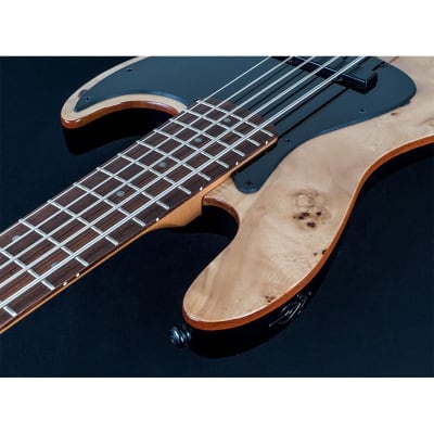 Michael Kelly Custom Collection Element 5R 5-String Bass Guitar image 4