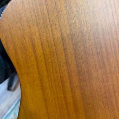 Carlo Robelli CSXMINIXX 3/4 Travel Size Acoustic Guitar image 15