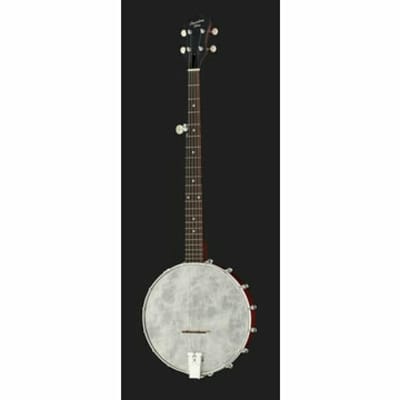 Recording King RKOH-05 | Dirty 30s Open Back Banjo. Brand New! image 7
