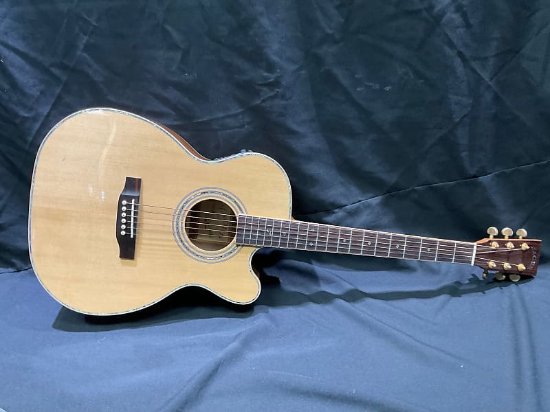 Zager ZAD-900 OMCE image 1
