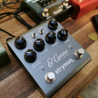 Strymon El Capistan V2 | Reverb Canada