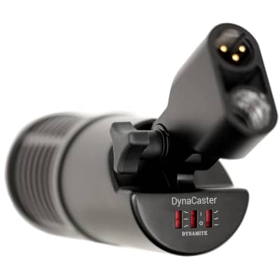 sE Electronics DynaCaster Dynamic Broadcast Microphone with Built-In Preamp & EQ image 9