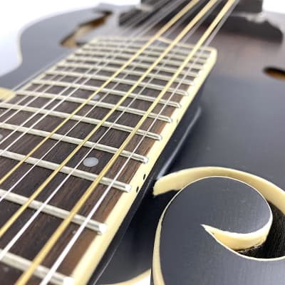 Gold Tone F12 F-Style 12-String Mando-Guitar 2021 Tobacco Sunburst Satin image 6