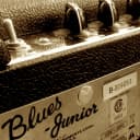 Fender Blues Junior  Black Beauty