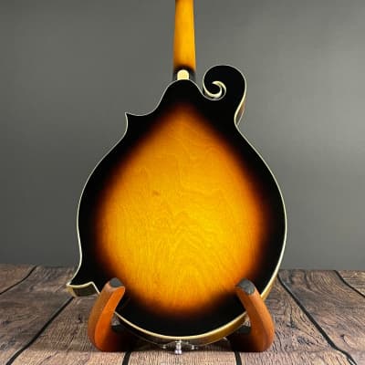 Gold Tone GM-35: F-Style Mandolin with Case image 7