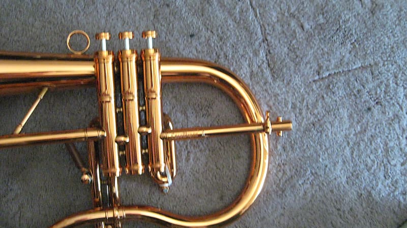 Carol Brass Blackhawk B Flat Pocket Trumpet - Trumpets for students to pro  players - Cornets and Flugelhorns - Sax & Woodwind and Brass