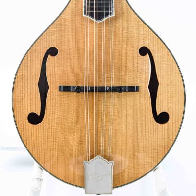 Bourgeois M5A Aged Tone Natural image 5