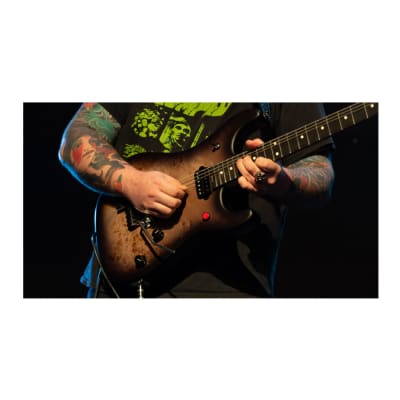 EVH 5150 Series Deluxe Poplar Burl Basswood 6-String Electric Guitar with Ebony Fingerboard (Right-Handed, Black Burst) image 12