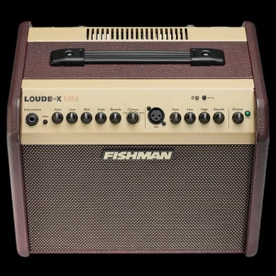 Fishman Loudbox Mini BT 60-watt 1x6.5" Acoustic Combo Amp image 2