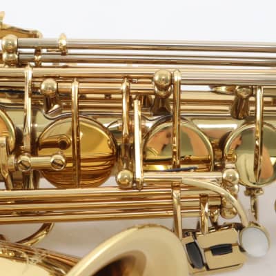 Eastman Model EAS850 Professional Alto Saxophone 'Rue Saint-Georges' GORGEOUS image 17