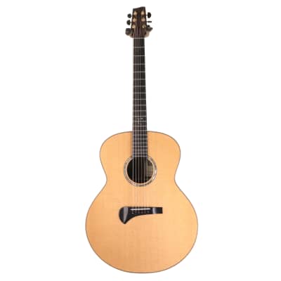 Tanglewood Michael Sanden Master Design TSR-3 Acoustic Guitar with Hard Case image 3