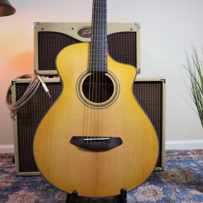 Aria SP-120 CE [Pre-Owned] | Reverb