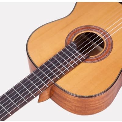 Martinez MC 118C Cedar/Mahogany Classical Guitar image 2