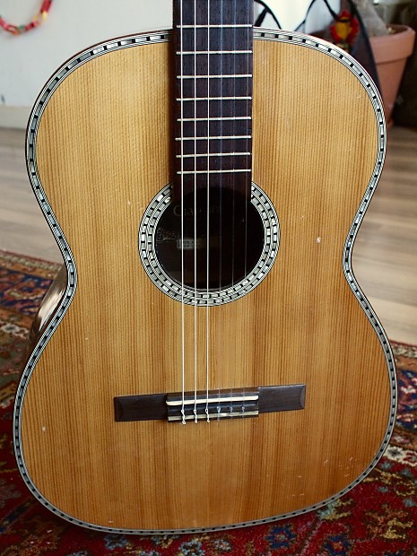 Giannini shop awn 300