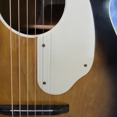 Vintage 1969 Fender by Harmony F1000 Stella Pro Setup New Strings Gigbag image 4