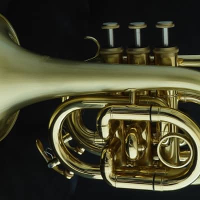 Satin Lacquer ACB Doubler's Large Bell Pocket Trumpet! image 4