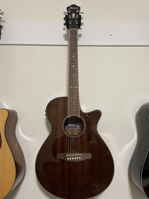 Ibanez Acoustic Guitar 2010 Natural mahogany high gloss image 1