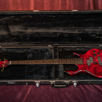 Pedulla M.V. P. Buzz Bass Mid-2000's - Dark Cherry | Reverb