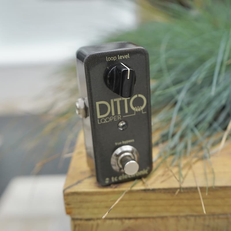 TC Electronic Ditto Looper