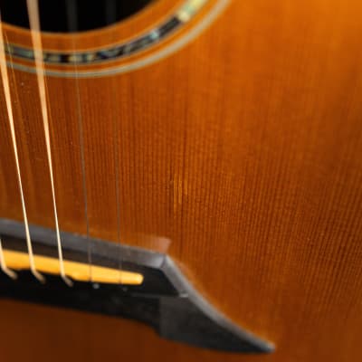 Breedlove Pro Series D25/SRH Acoustic Electric AS IS - Natural (30308-BO) image 12