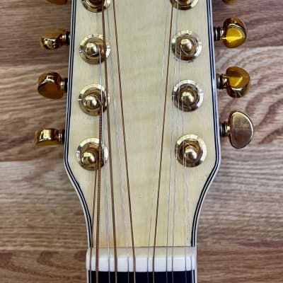 John Hiatt's Washburn Timber Ridge D1712CE 12-String Acoustic with XLR / The Guitar From The Ad image 4