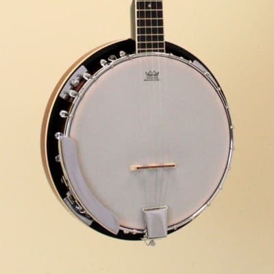 Ibanez Banjo B50 5-String with Closed Back image 2