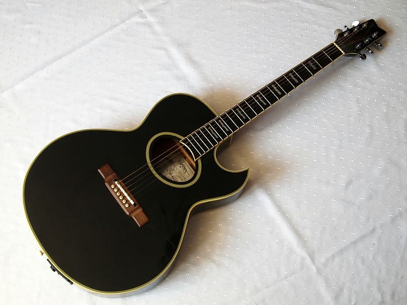 ギター Washburn EA22B PLATINUM EDITION Washburn EA22 Nuno Bettencourt Signature Series Acoustic