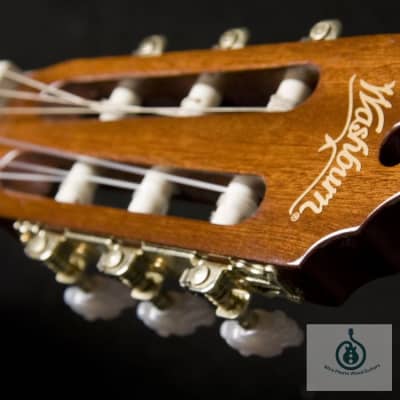 Washburn Classical Series C5 Classical Acoustic Guitar, Natural, New, image 6